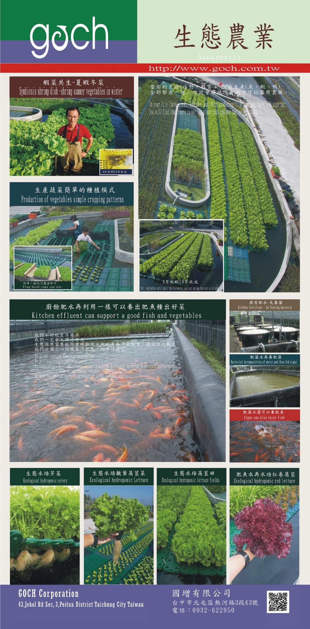生態水培 初體驗大成功，接踵而來的卻是失敗